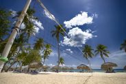 Viva Dominicus Beach